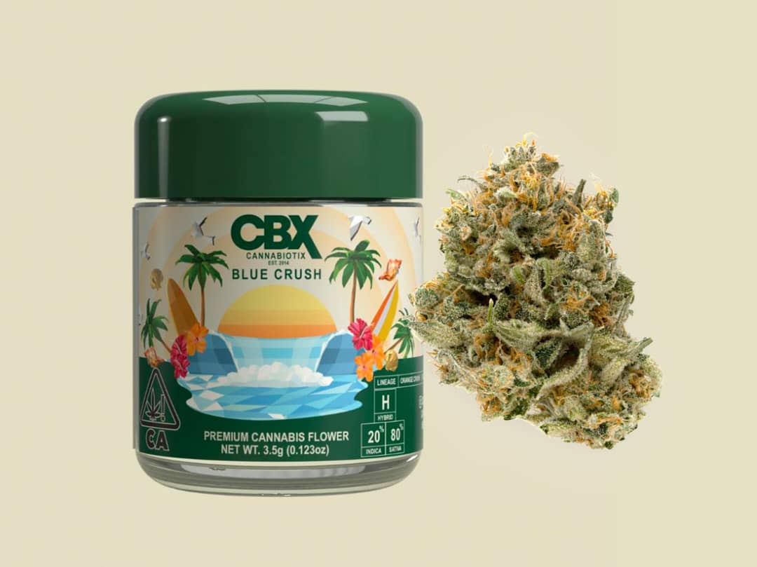 CBX Blue Crush CBX Blue Crush