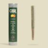 CBX Lorange Preroll