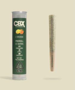 CBX Lorange Preroll