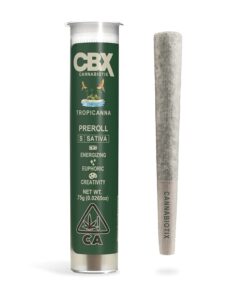 CBX Tropicanna Preroll